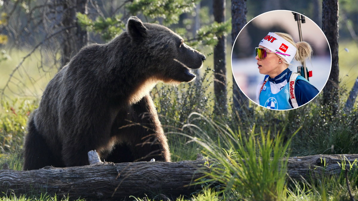 Erika Janka. Fińska biathlonistka spotkała niedźwiedzia