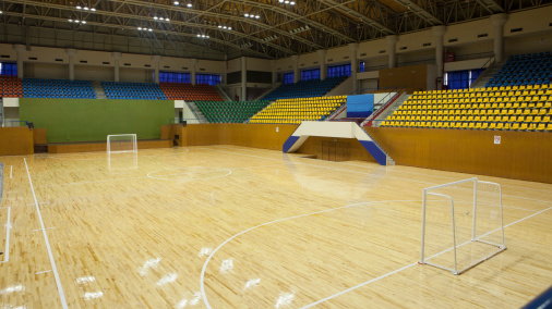 Futsal