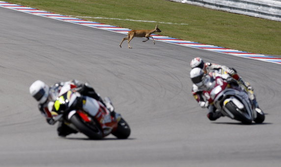 CZECH REPUBLIC MOTORCYCLING GP