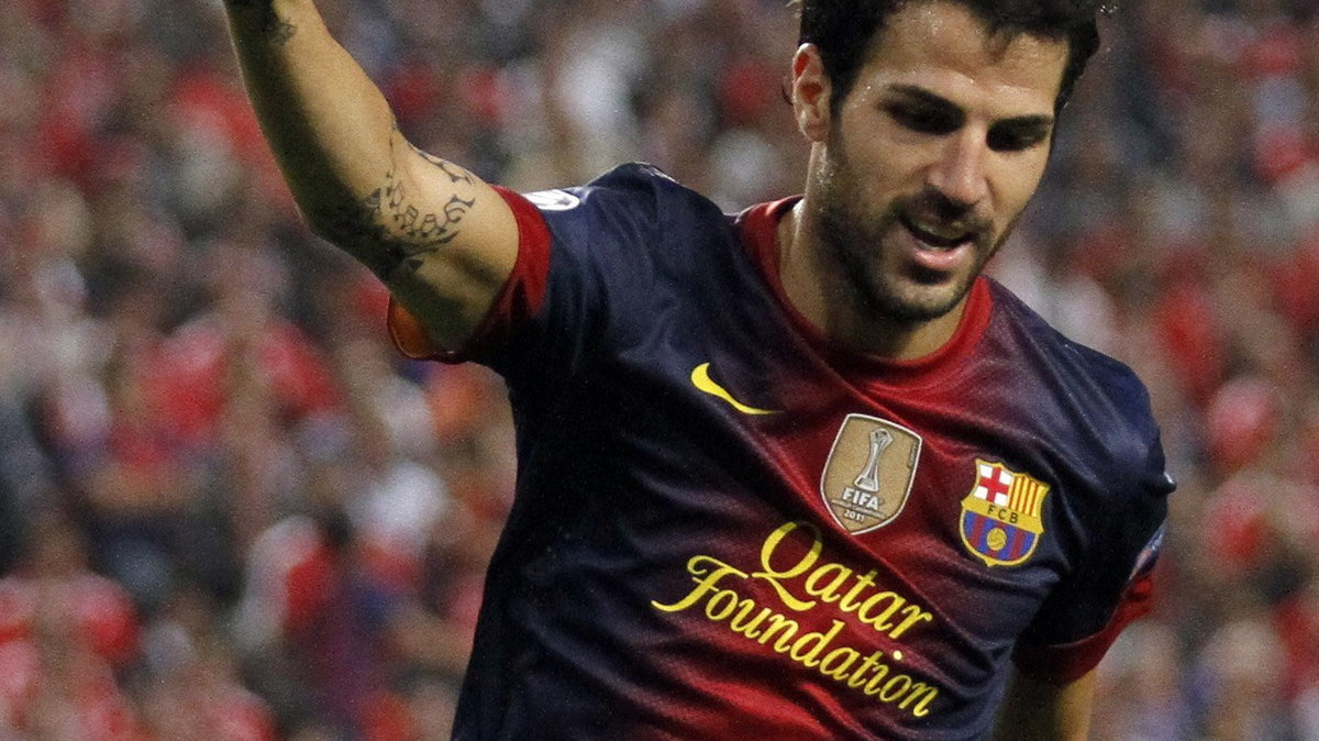 Francesc Fabregas