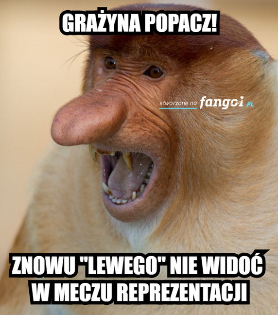 Holandia - Polska. Memy po meczu Ligi Narodów