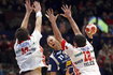 2010-01-25T164906Z_01_IMS18_RTRIDSP_3_HANDBALL-AUSTRIA.jpg