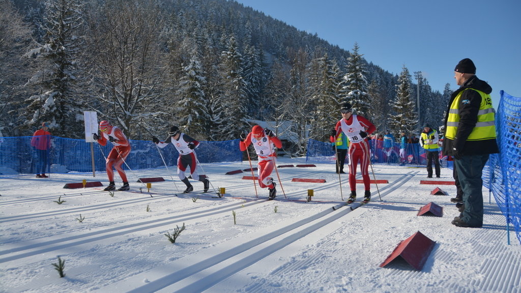 Ogólnopolska Olimpiada Młodzieży w Sportach Zimowych - Narciarstwo klasyczne