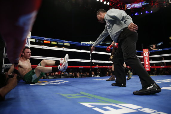 Andrzej Fonfara - Julio Cesar Chavez junior