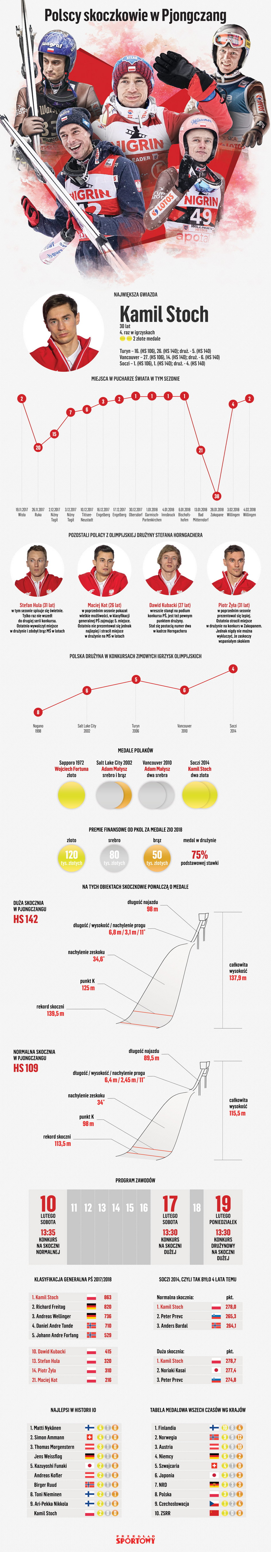 infografika