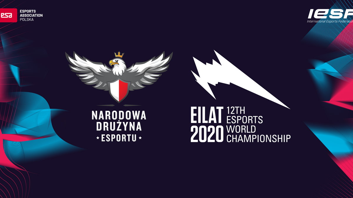 Narodowa Drużyna Esportu