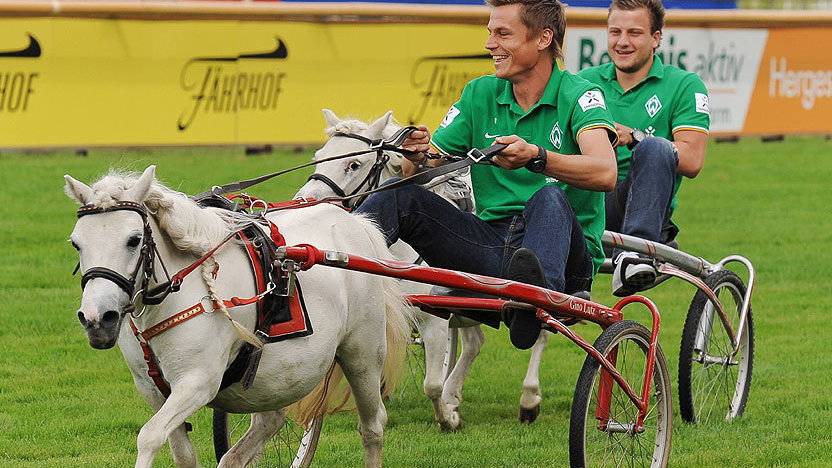 Wyścig kucyków