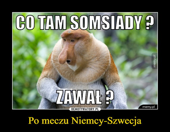 Mundial 2018: memy po meczu Niemcy - Szwecja