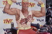 Hulk Hogan 1990 