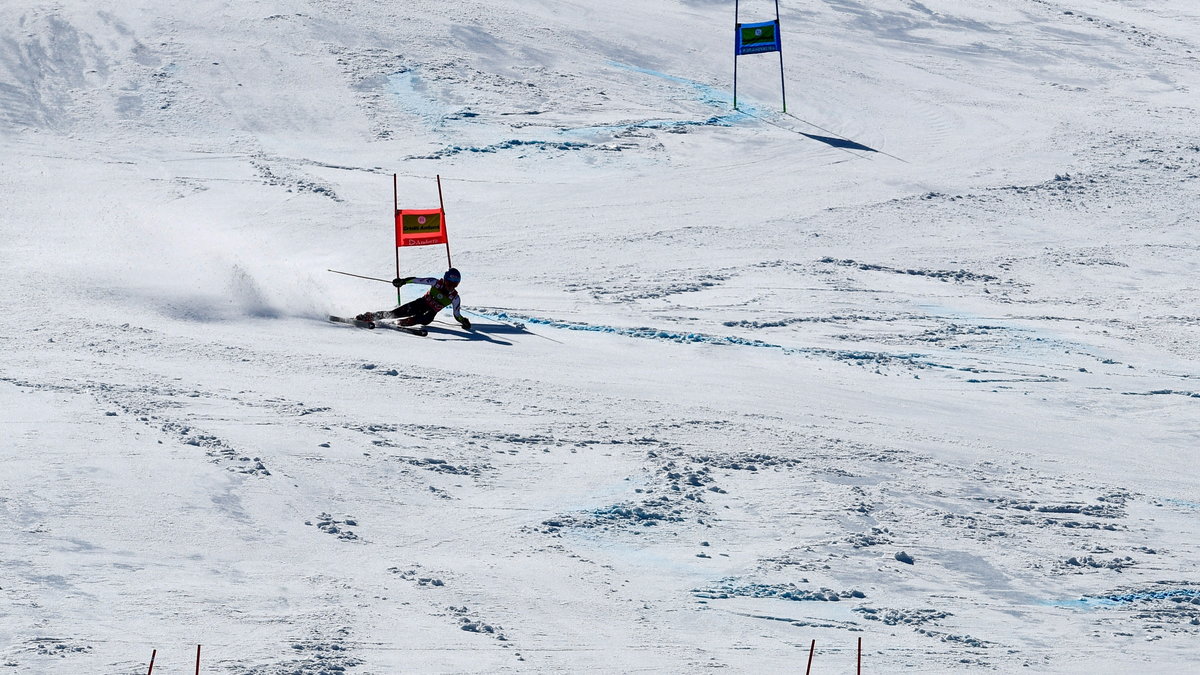 Narciarstwo alpejskie