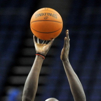 Luol Deng (Chicago Bulls)