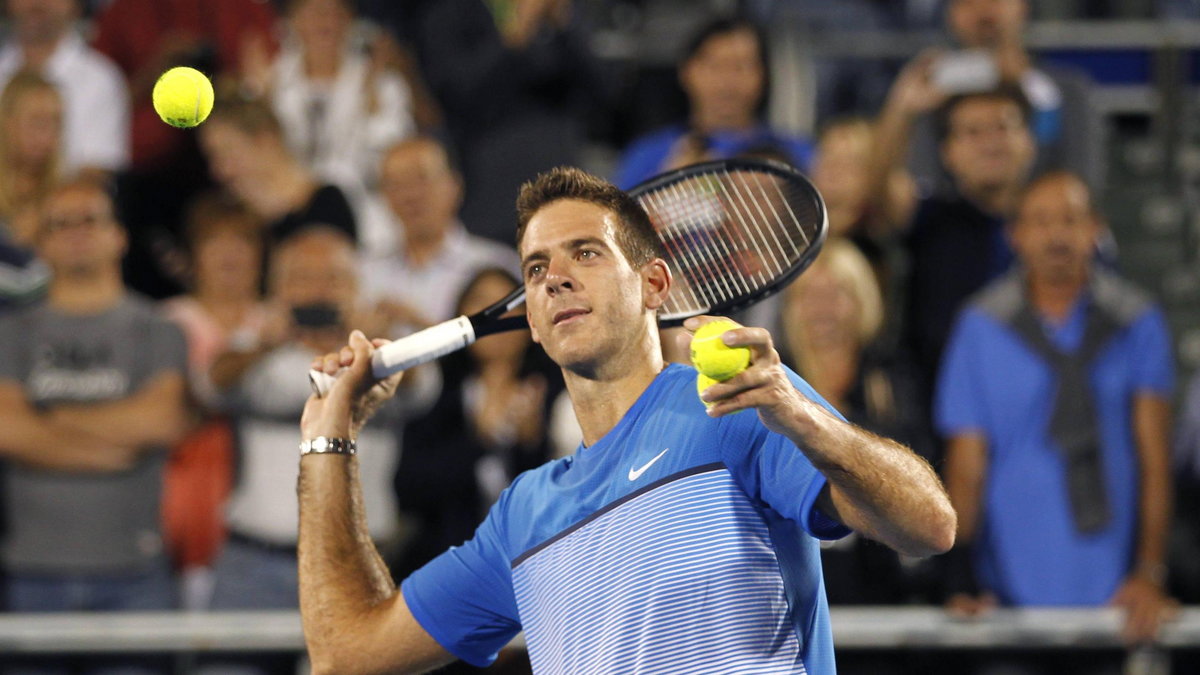 Juan Martin del Potro