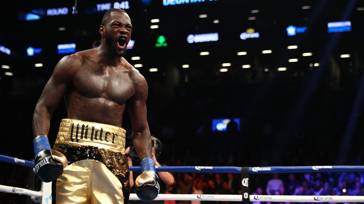 Deontay Wilder vs Bermane Stiverne