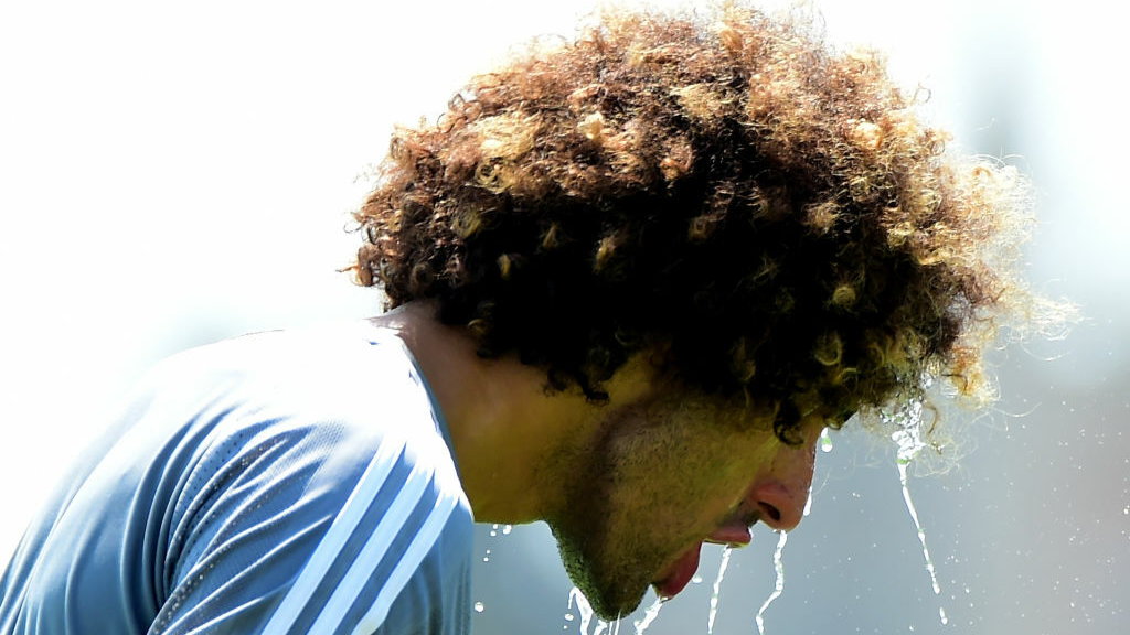 Marouane Fellaini