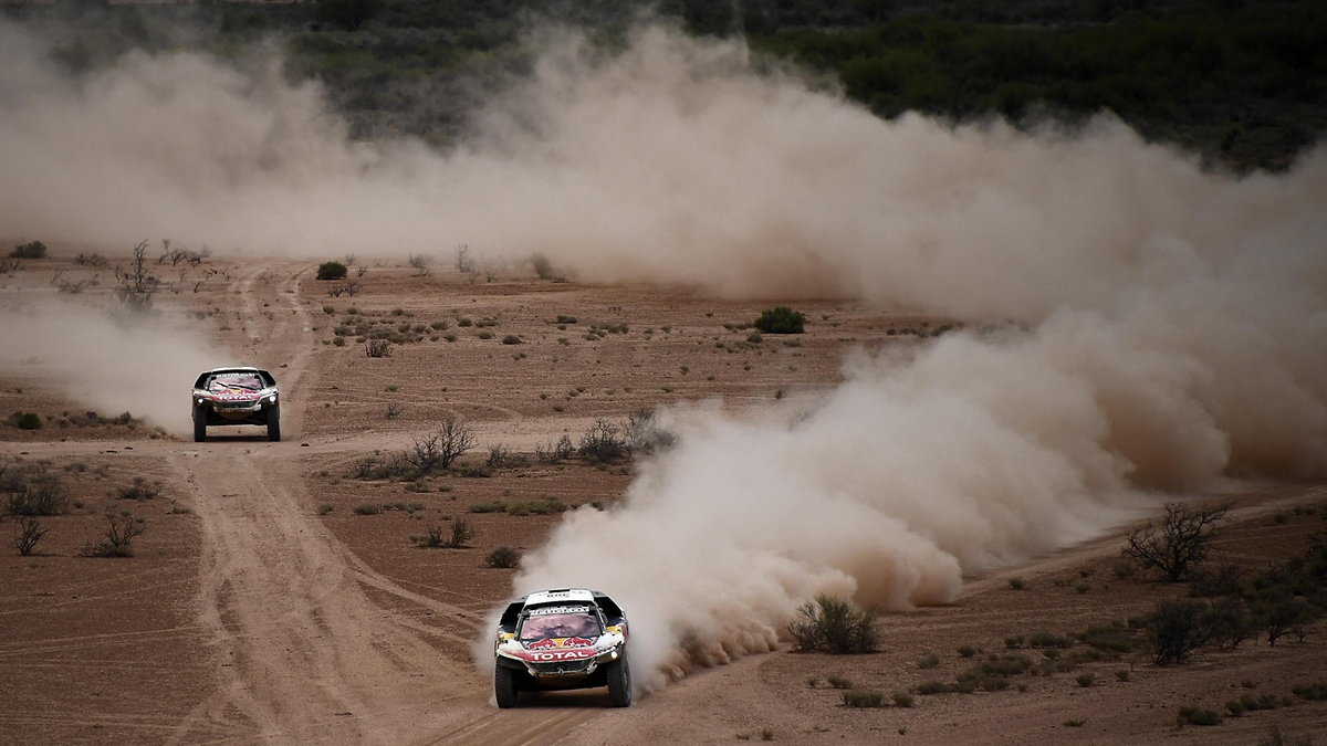 Sebastien Loeb