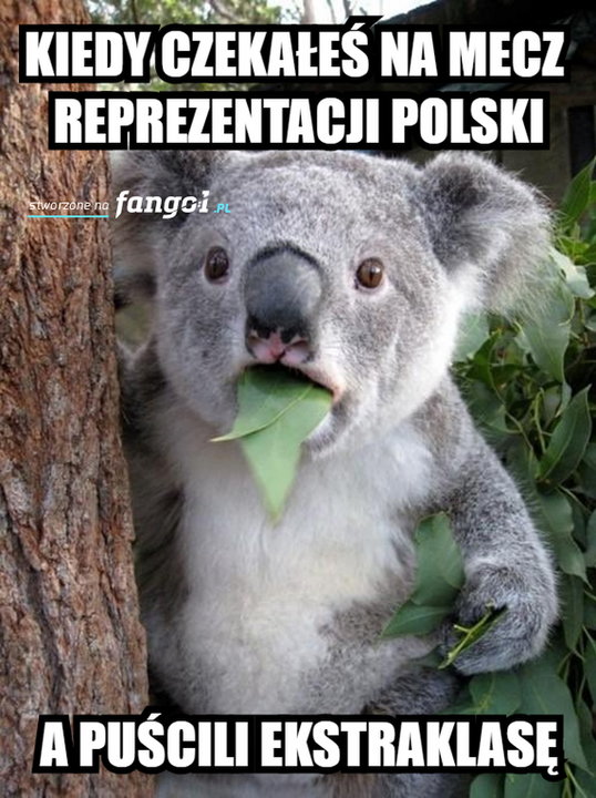 Polska przegrała z Nigerią - memy po meczu fot. Internet