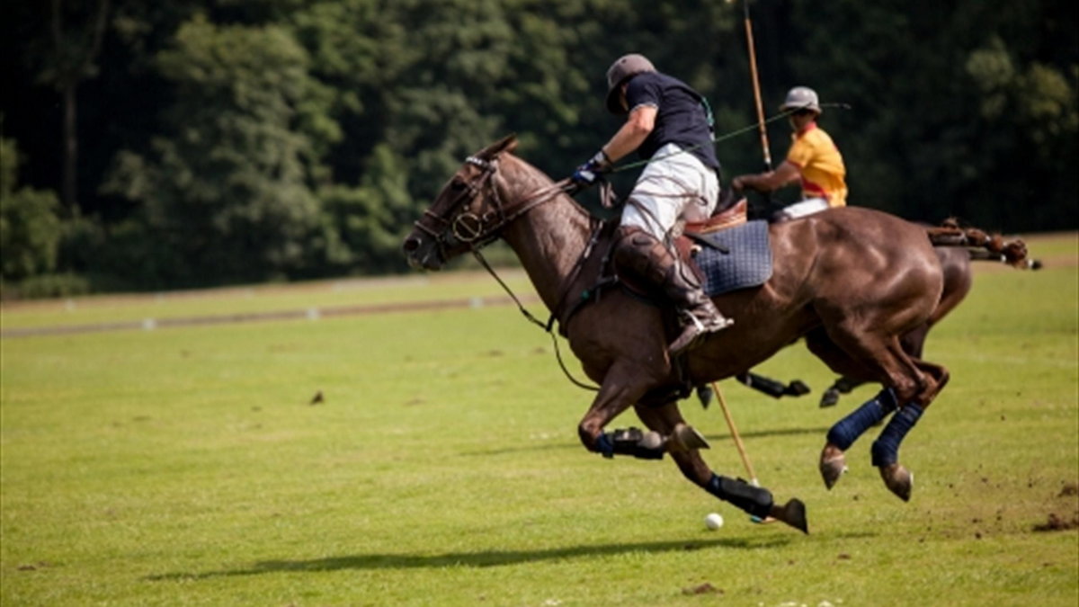 Irlandczycy mistrzami Europy w polo, Polacy zadebiutowali w imprezie