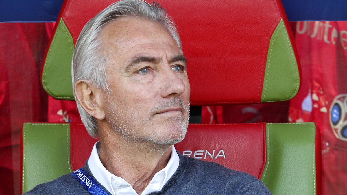 Bert van Marwijk