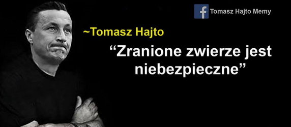 Tomasz Hajto bohaterem memów