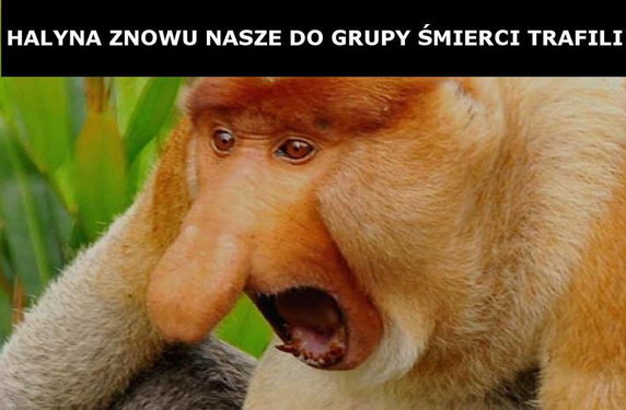 Memy po losowaniu grup eliminacji Euro 2020