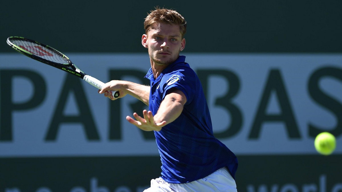 David Goffin