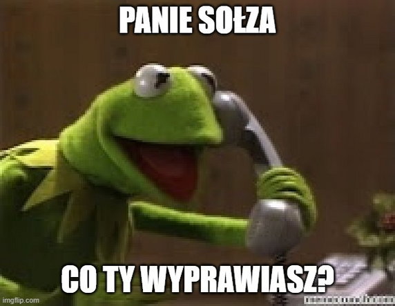Paulo Sousa chce odejść z reprezentacji Polski! Internauci bezlitośni. Zobacz memy