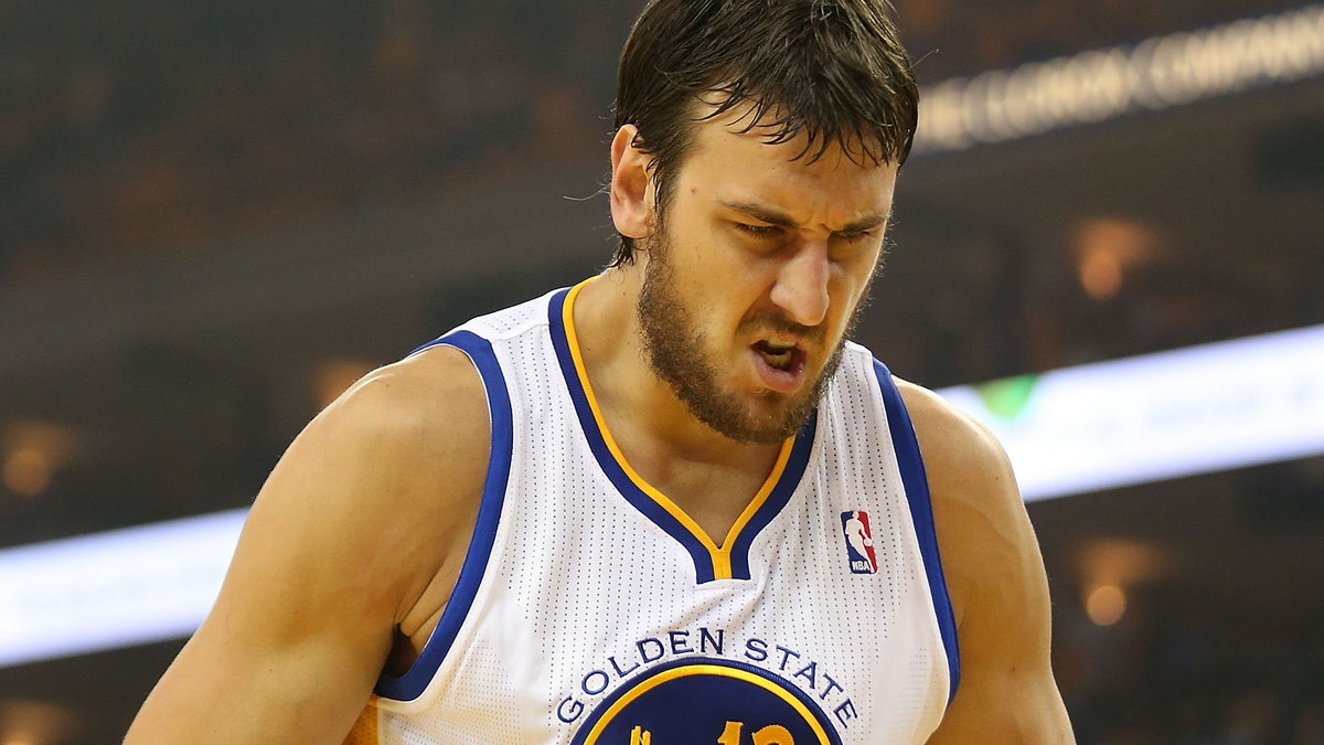 Andrew Bogut