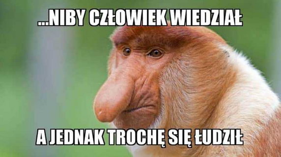 Złoty But nie dla "Lewego" - memy internautów