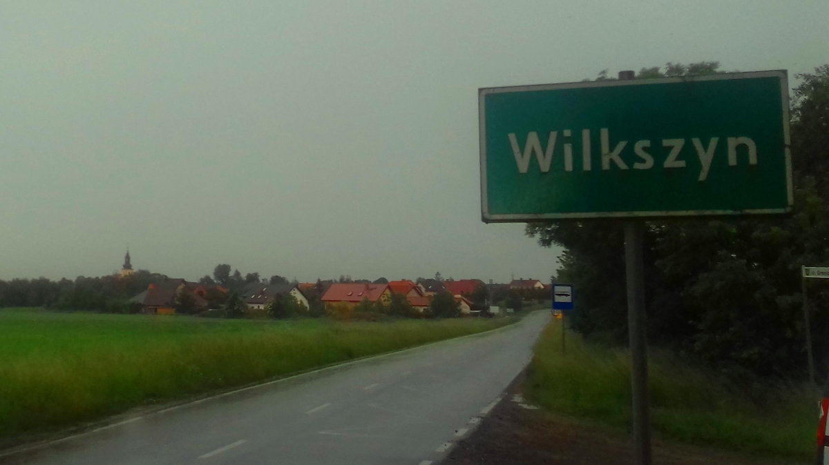 Wilkszyn