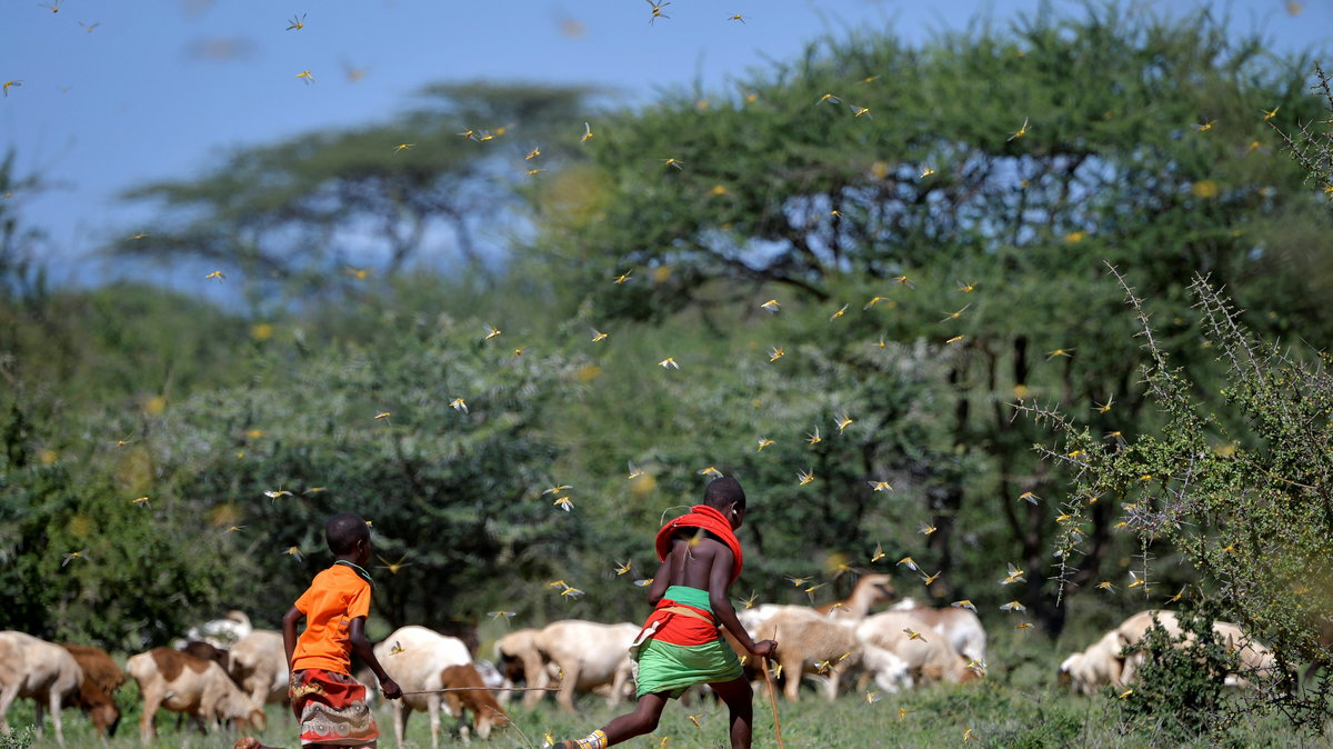 Dziewczęta z plemienia Samburu