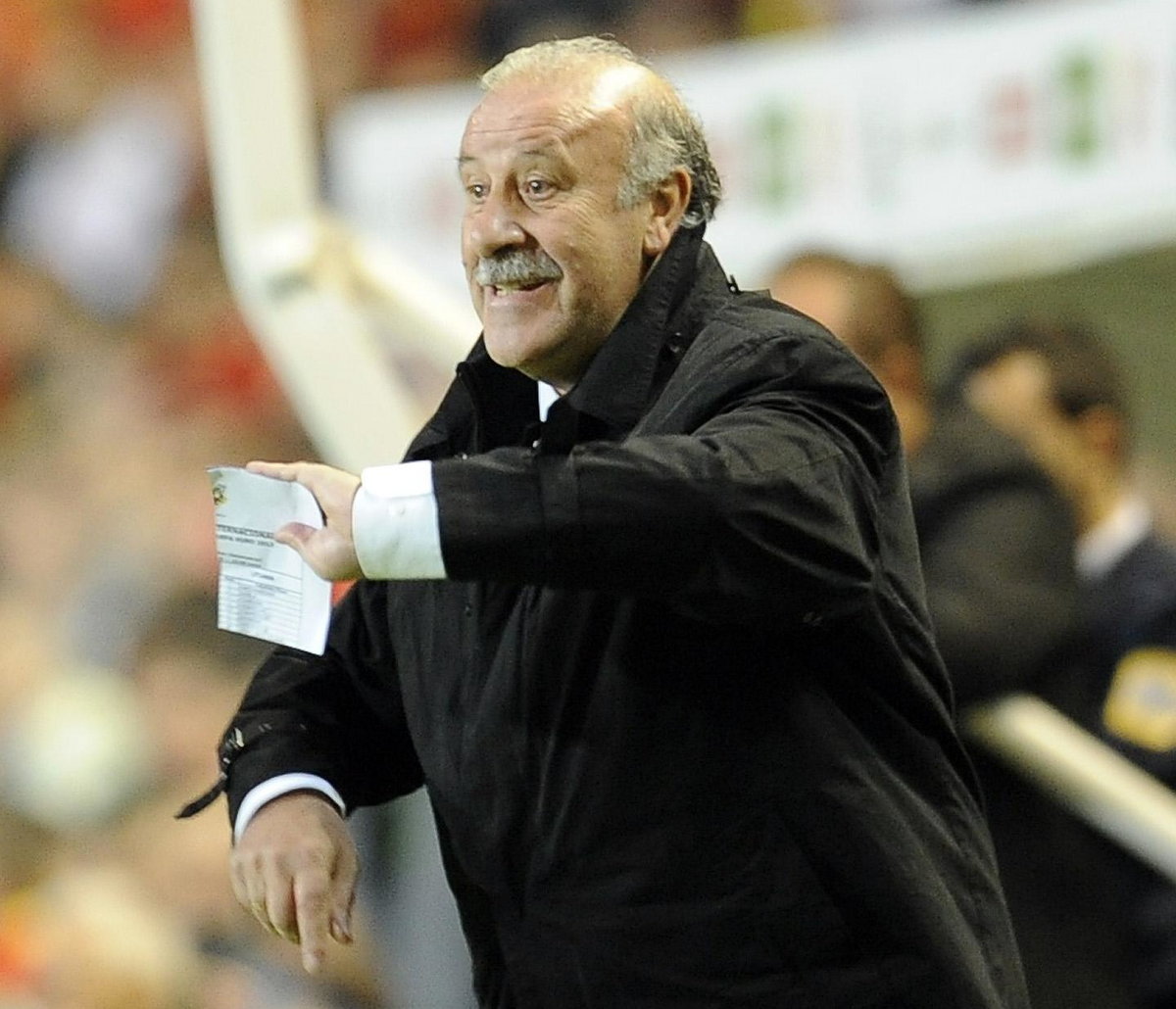 Vicente Del Bosque