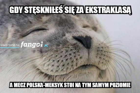 Memy po meczu Polska - Meksyk