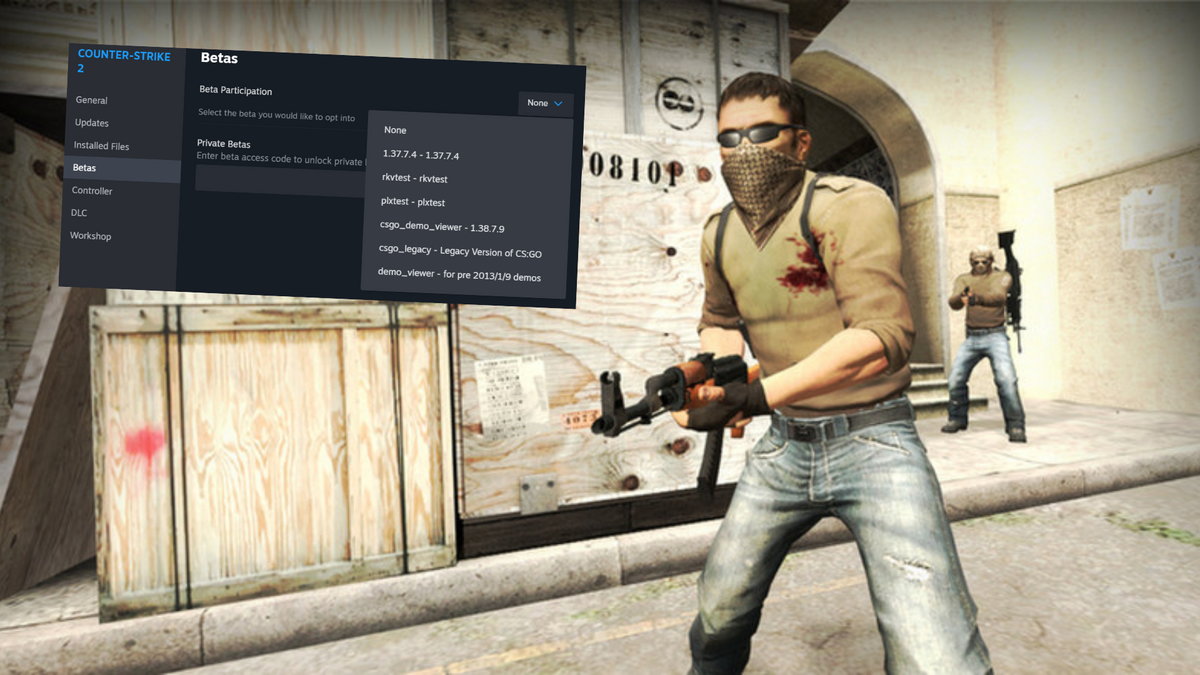 CS:GO