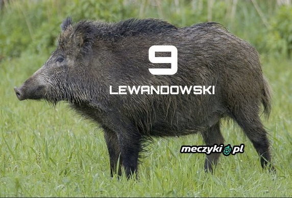 Memy po meczu Polska — Słowenia=