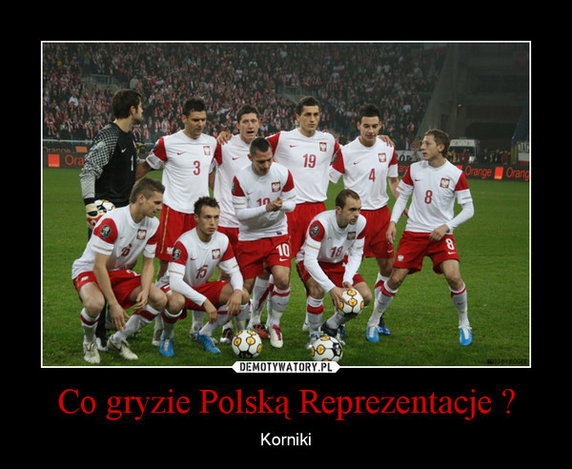 Memy po meczu Ukraina - Polska