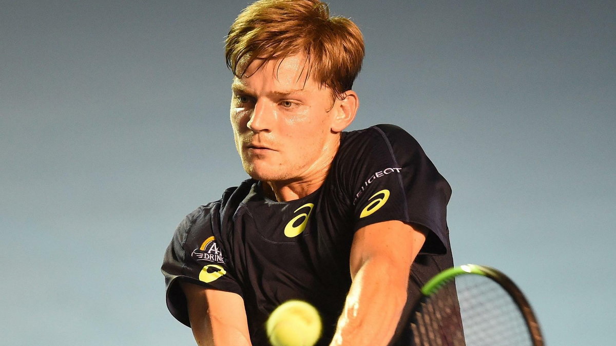 David Goffin