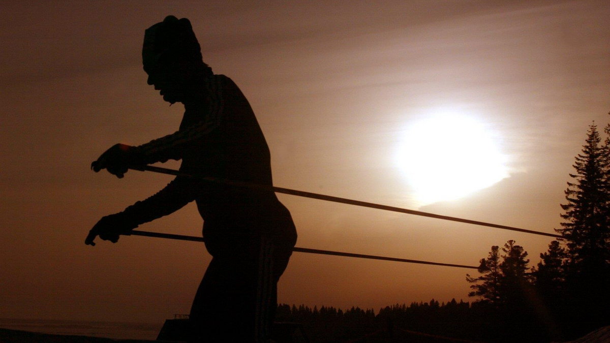 Skier practises in the taiga