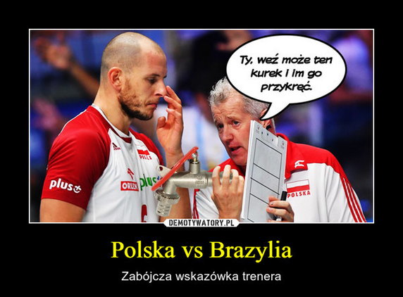 Polacy mistrzami świata w siatkówce! Memy po meczu Brazylia - Polska