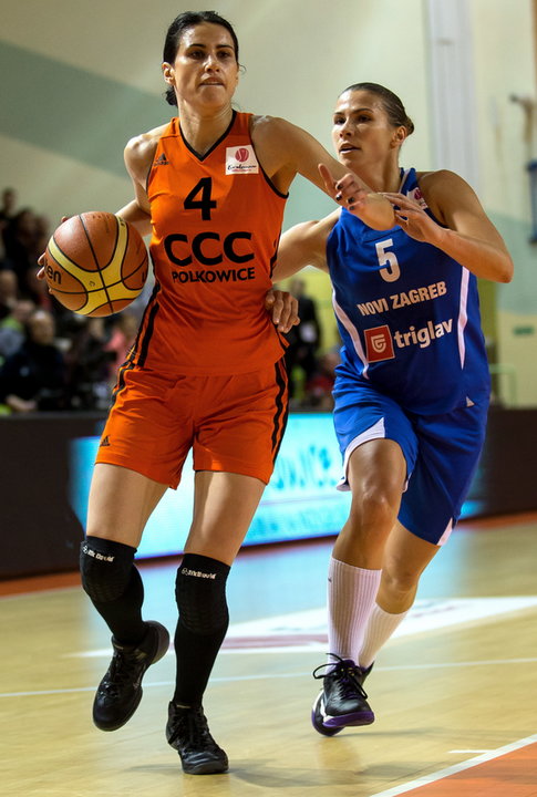 CCC Polkowice - WBC Novi Zagrzeb