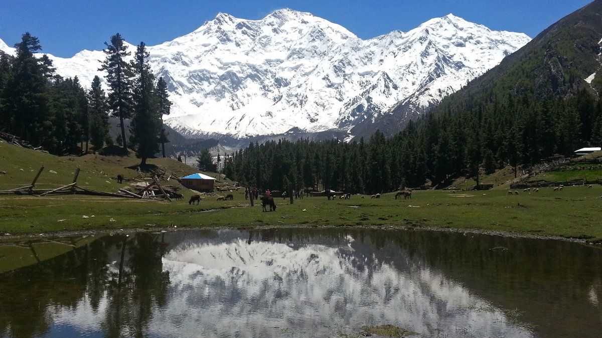 Nanga Parbat