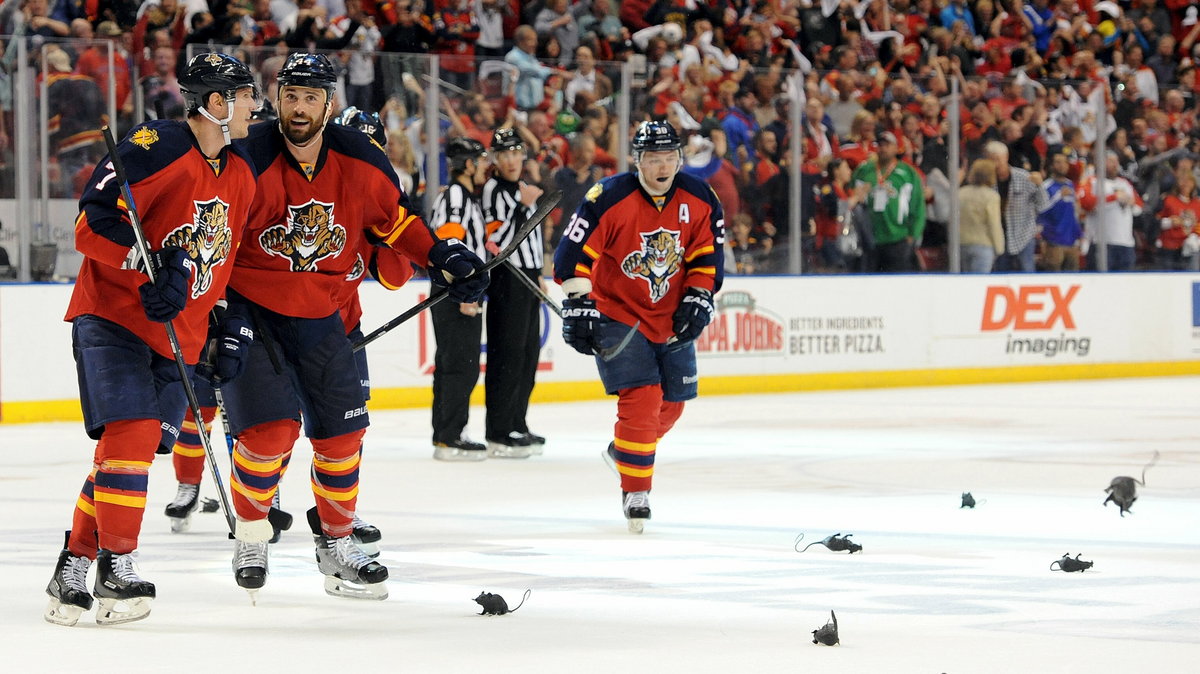 Florida Panthers