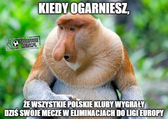 Memy po meczach polskich drużyn w eliminacjach do Ligi Europy