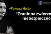 Tomasz Hajto bohaterem memów