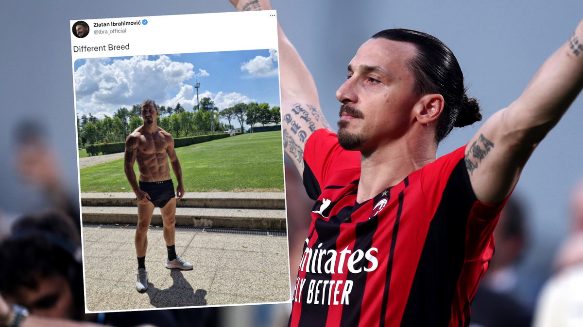 Zlatan Ibrahimović (fot. twitter.com/Ibra_official)