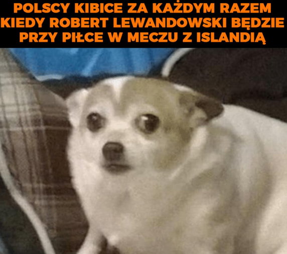 Memy po meczu Polska - Islandia