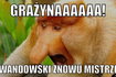 Bayern Monachium mistrzem Niemiec! Memy po meczu