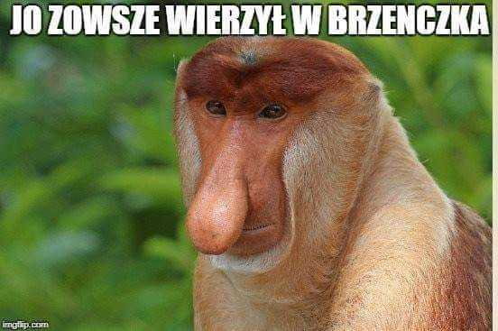 Memy po meczu Polska-Łotwa