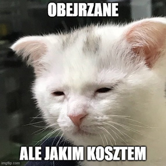 Memy po meczu Polska — Wyspy Owcze