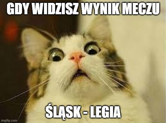 Memy po meczu Śląsk Wrocław — Legia Warszawa