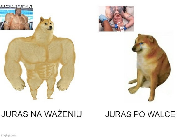 KSW 61. Memy po walce "Pudzian" - "Juras"